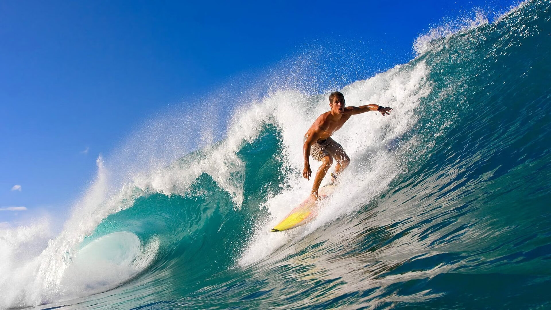 冰封潘帕斯，闪耀亚平宁，当防守艺术与进攻天赋主宰绿茵
